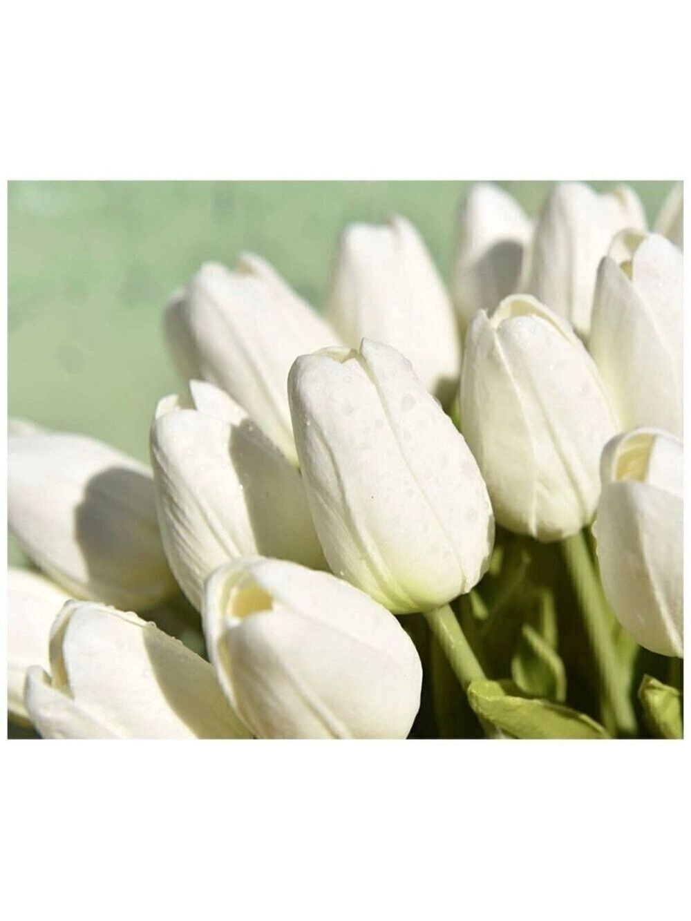 Artificial Creamy White Tulip Stems Bouquet 20 Stems 14 inch Realistic Look Fake - Picture 5 of 6